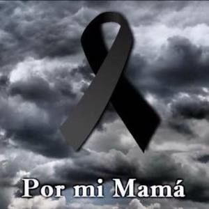 Meet your Posher, Frederick